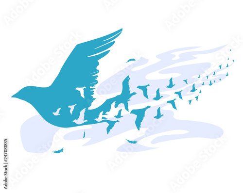 Birds Silhouette Design Ill...