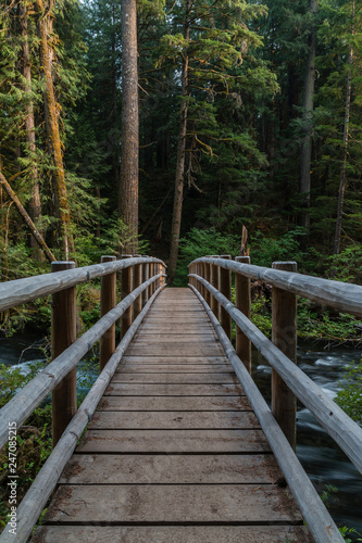 Bridge into the woods
