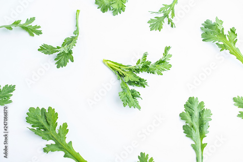 Fresh green vegetable sage