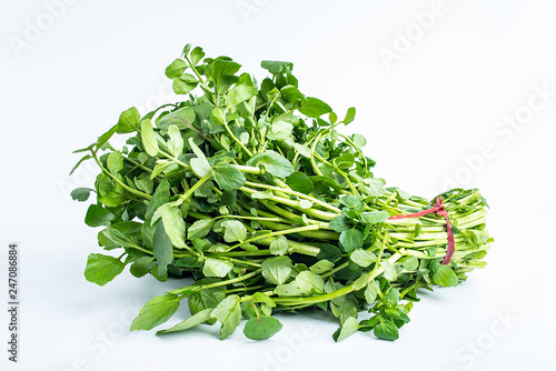 Fresh green vegetable watercress