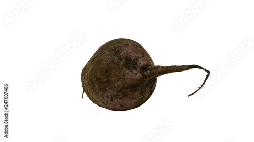 beet fresh from the garden