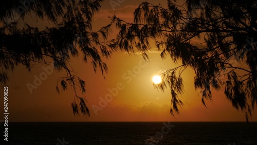 Romantic sunset ar beach with trees