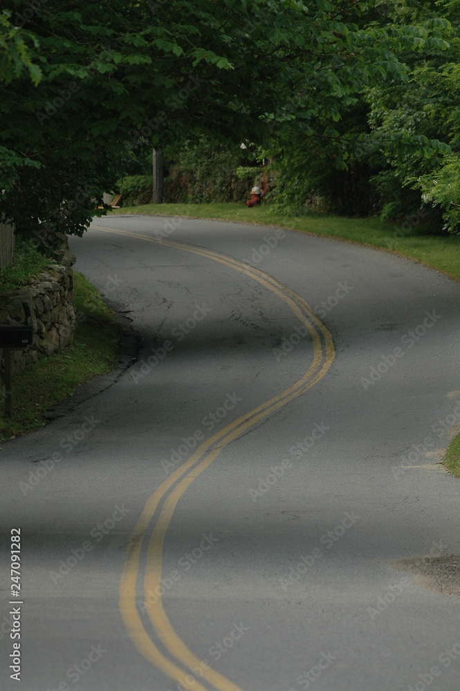 Curves on a country road