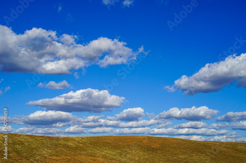 Cloudy blue sky and sunny spring field