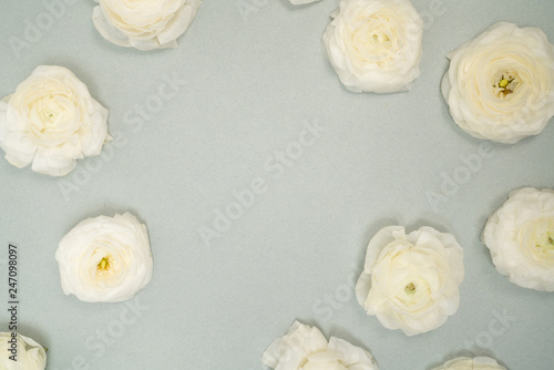 White Ranunculus on light blue backgrounf floral flat lay