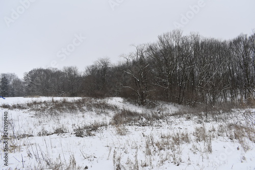 winter rural landscape with frozen trees and snow