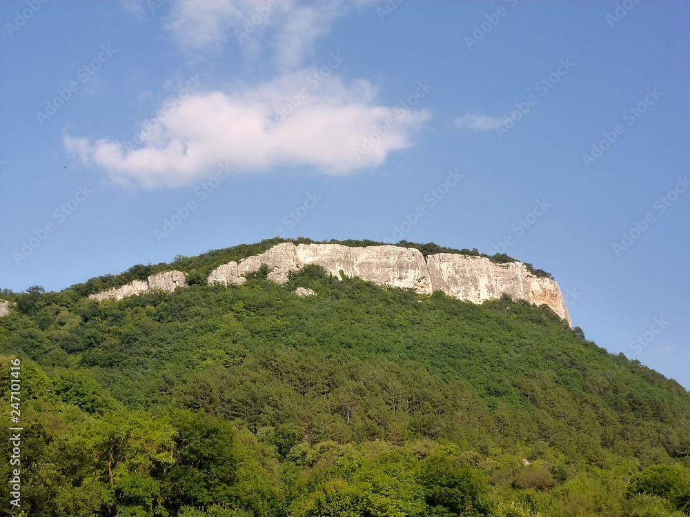 Plateau in the Crimea framed by green thickets