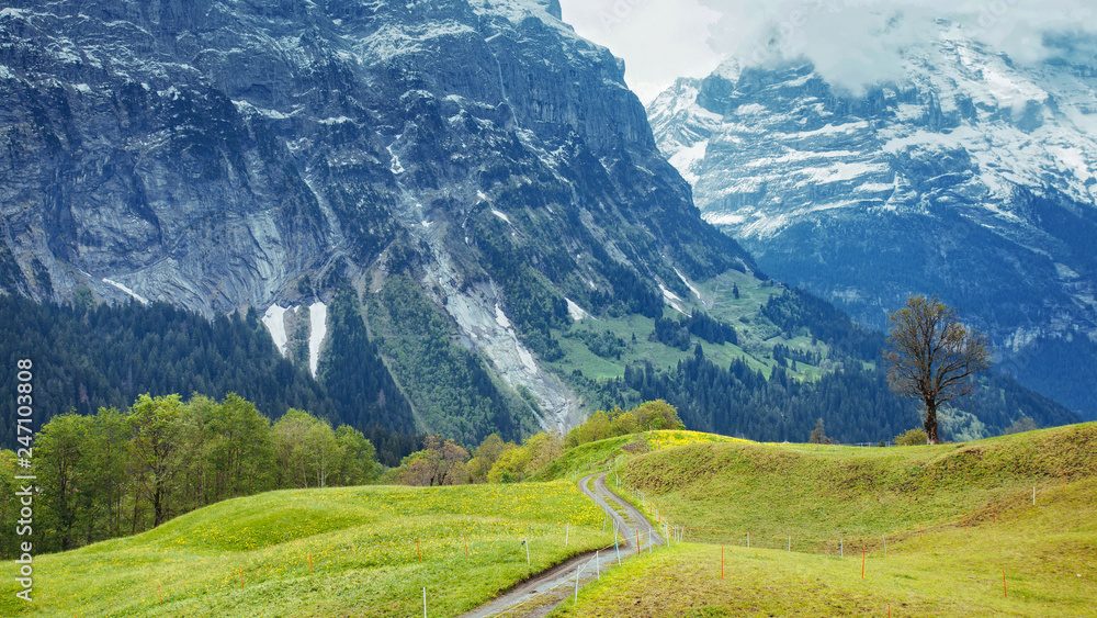 From Grindelwald in Bernese Alps: Alpine Meadows and the Eiger 