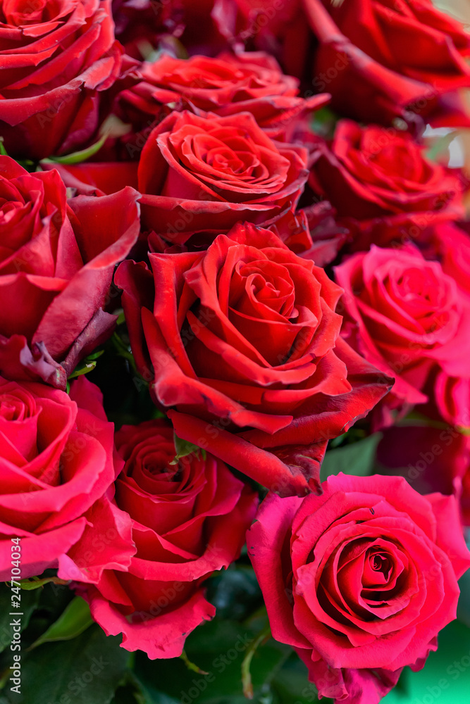 Fototapeta premium natural fresh roses background