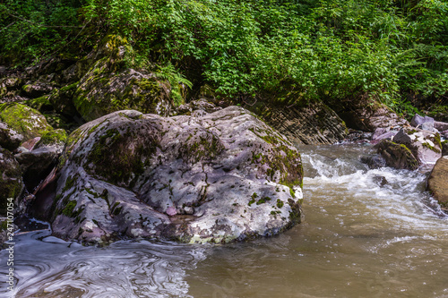 Stormy mountain river in the forest in Altai, Russia