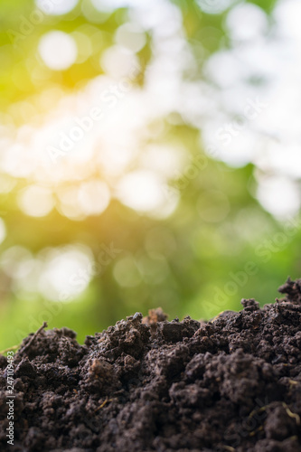 Soil for planting enriched with essential minerals needed for plants white green bokeh background.