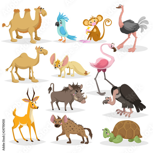 Cute cartoon african animals set. Dromedary and bactrian camels, parrot, monkey, ostrich, fennec fox, flamingo, warthog, vulture, antelope, hyena, big turtle.