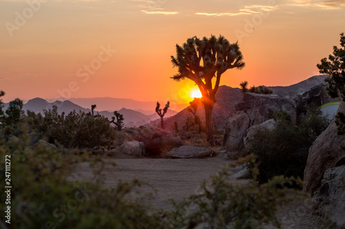 Foto Joshua Tree National Park