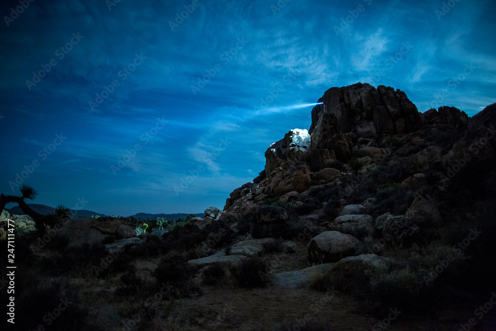 Fototapeta premium Joshua Tree National Park