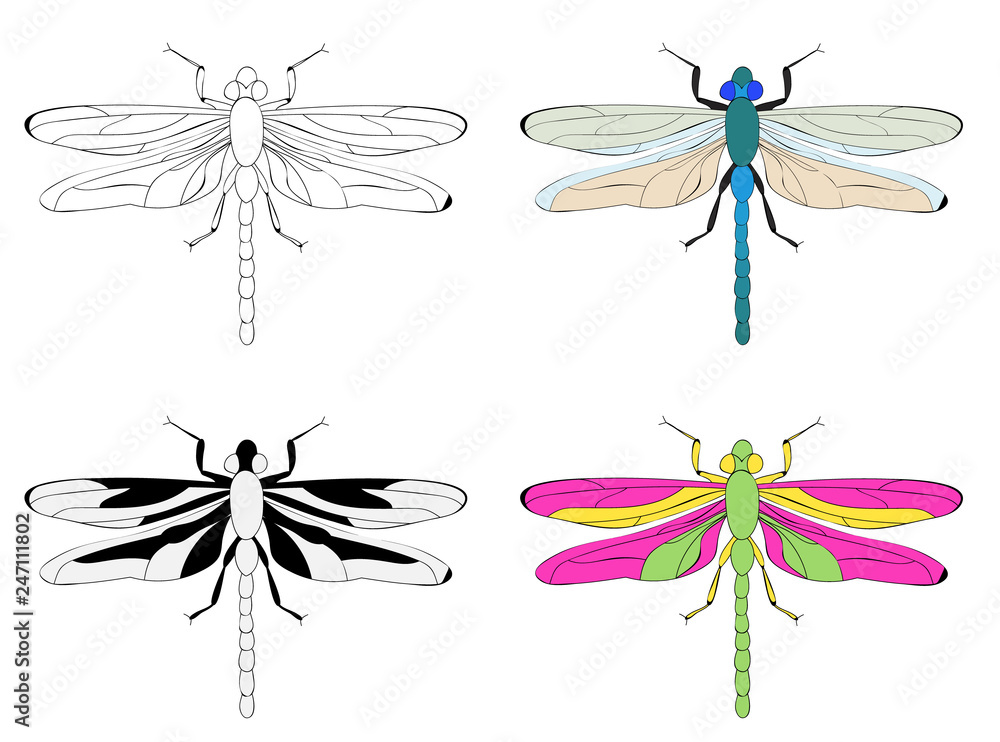 Obraz premium set of butterfly and dragonfly silhouettes isolated, vector