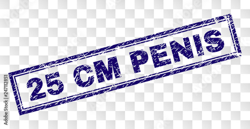25 CM PENIS stamp seal print with rubber print style and double framed rectangle shape. Stamp is placed on a transparent background. Blue vector rubber print of 25 CM PENIS tag with unclean texture.