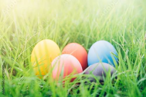 Easter egg on garden grass background 