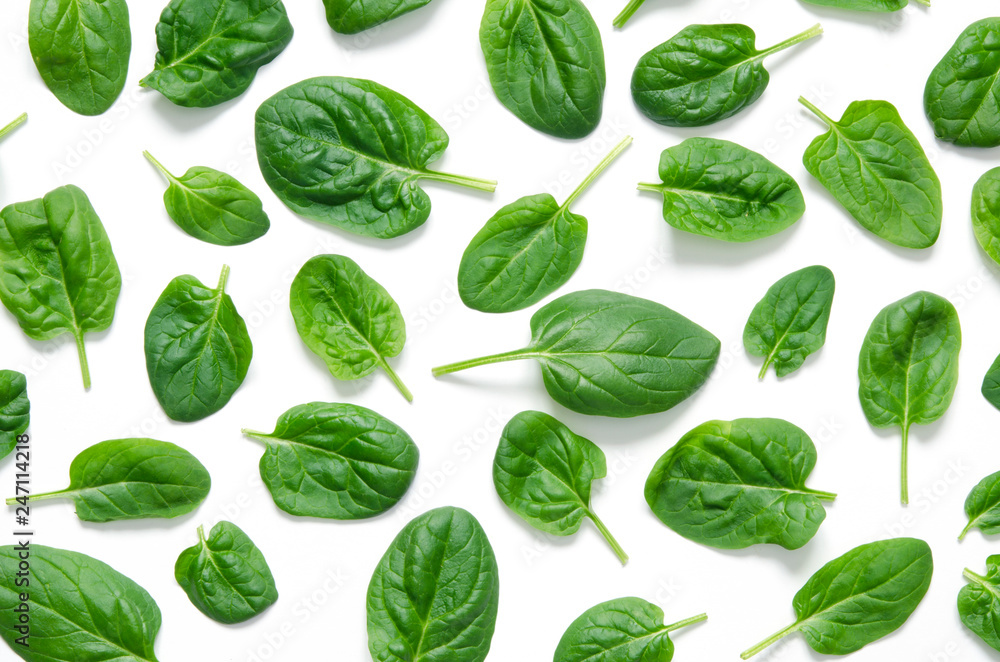 Spinach leaves. Fresh Green spinach isolated on a white background Spinach leaves. Fresh Green spinach isolated on a white background