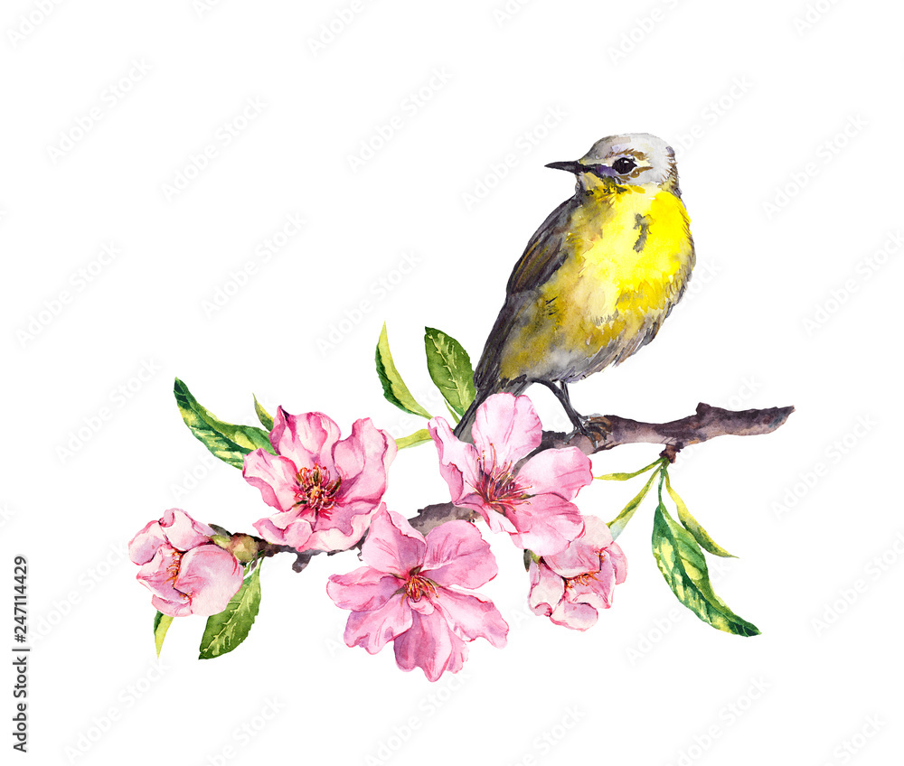 Bird in spring flowers. Springtime blossom, cherry, apple, sakura branch. Water color