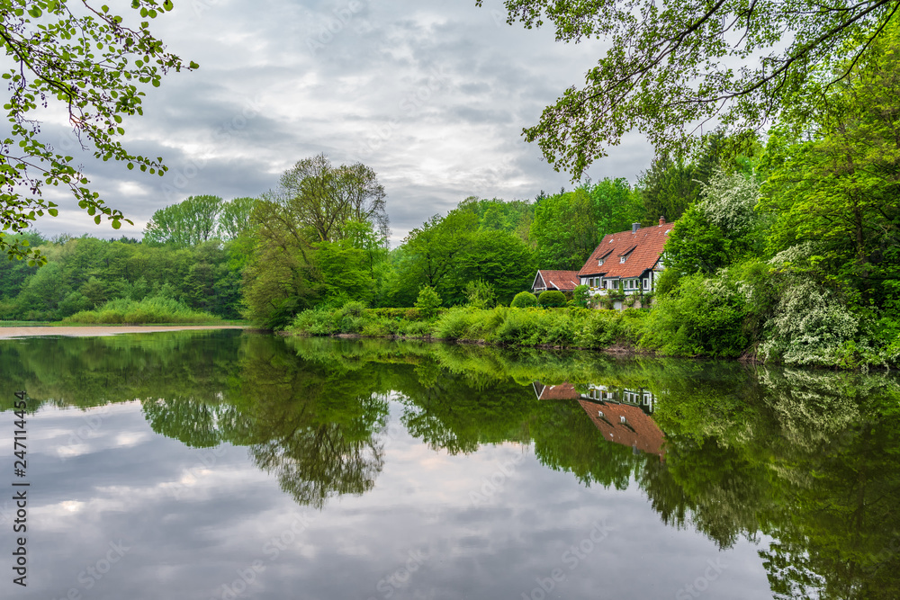 Obraz premium Pond in Teutoburg Forest nearby Externsteine rocks, Germany