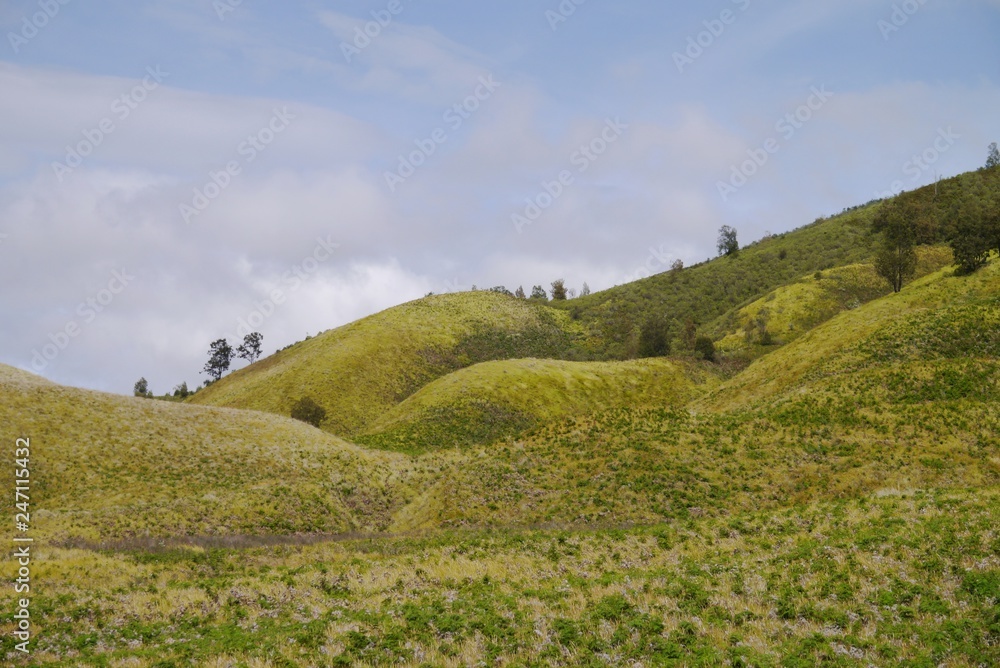 Green hill against blue sky with cloud landscape near Bromo Mountain, Java, Indonesia