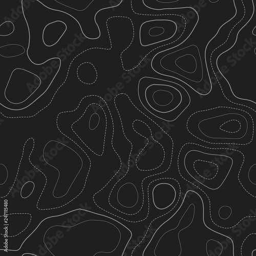 Topographic map. Actual topography map. Dark seamless design, admirable tileable isolines pattern. Vector illustration.