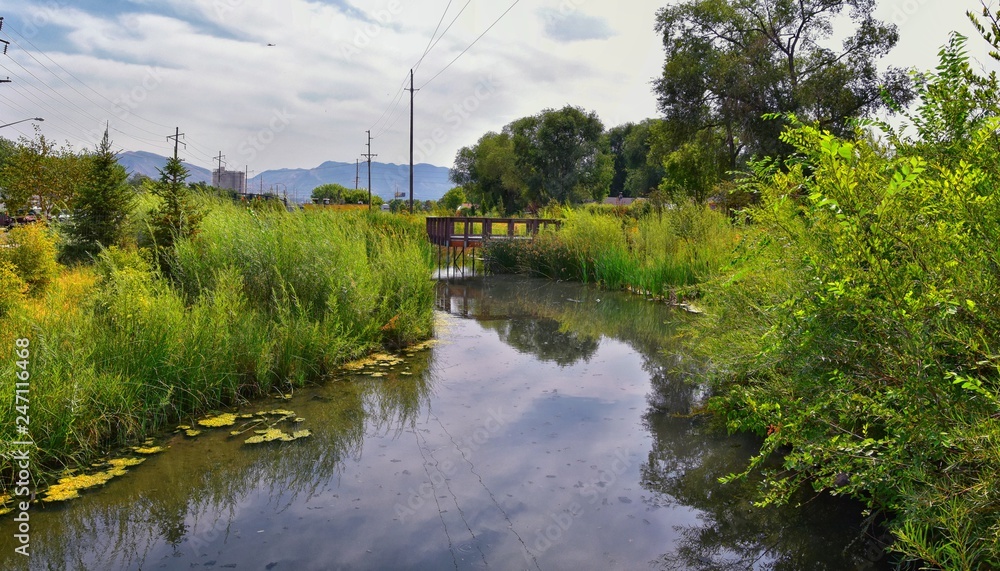 Obraz premium Views of Jordan River Trail with surrounding trees, Russian Olive, cottonwood and silt filled muddy water along the Wasatch Front Rocky Mountains, in Salt Lake City, Utah.
