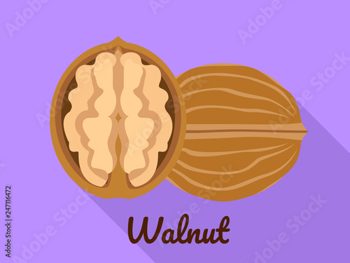Walnut icon. Flat illustration of walnut vector icon for web design