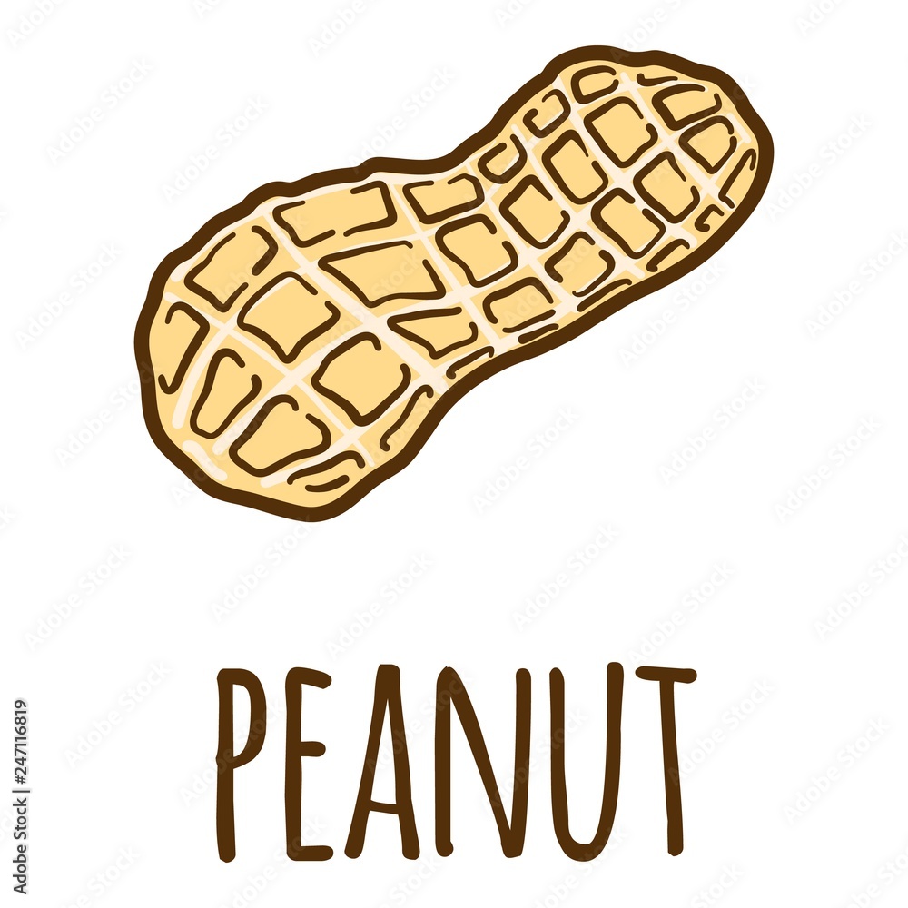 Peanut in shell icon. Hand drawn illustration of peanut in shell vector icon for web design Peanut in shell icon. Hand drawn illustration of peanut in shell vector icon for web design