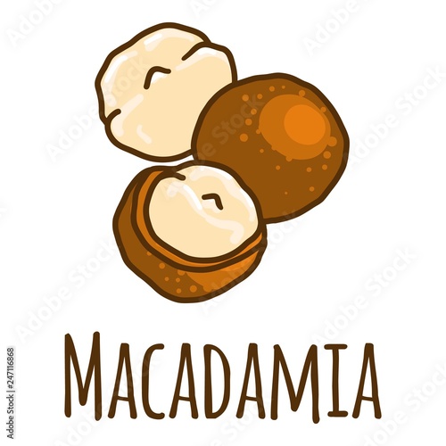 Macadamia icon. Hand drawn illustration of macadamia vector icon for web design