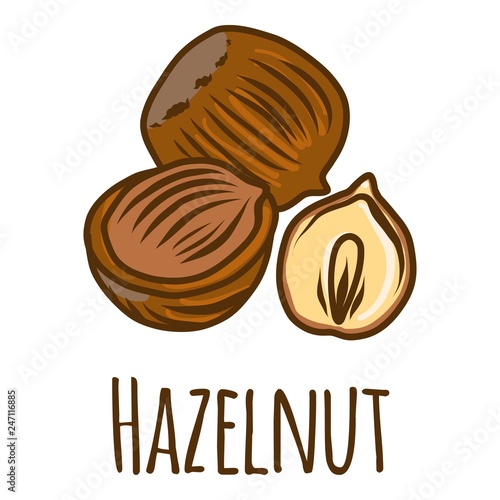 Hazelnut piece icon. Hand drawn illustration of hazelnut piece vector icon for web design