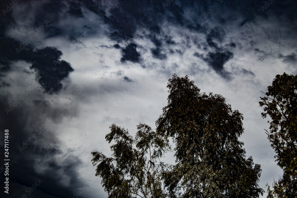 Sky Sky