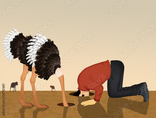 Canvas Print ostrich and man with his head in the sand