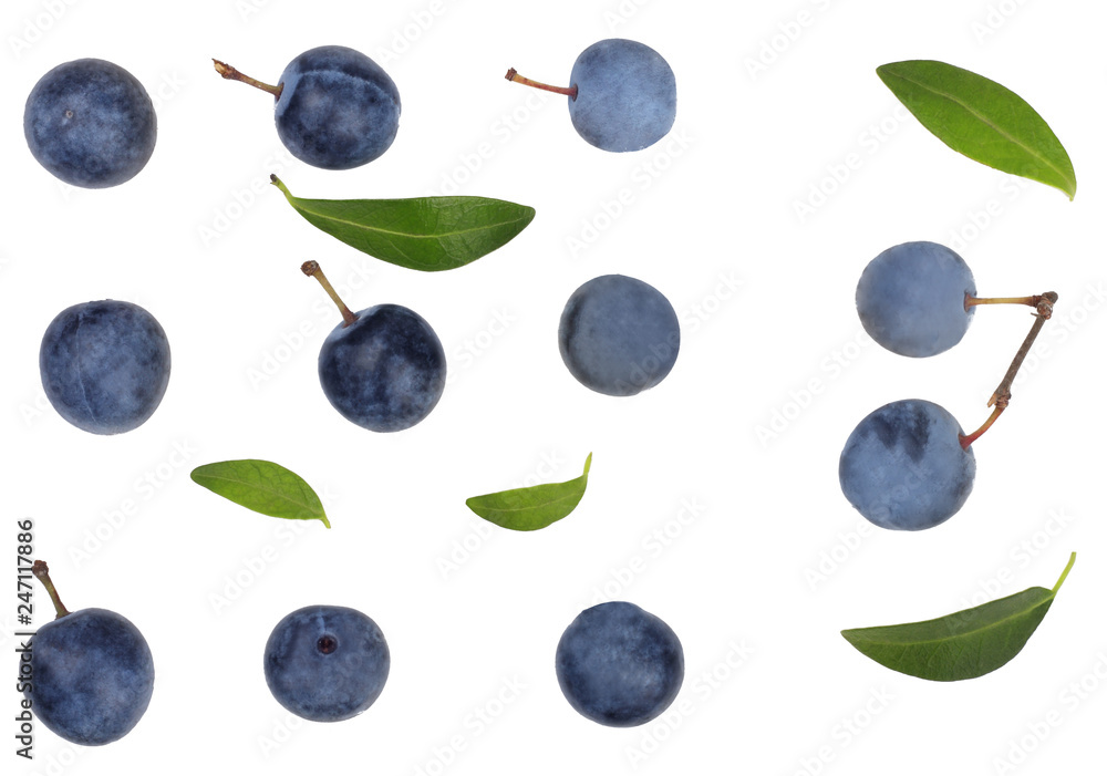 The fruits of blackthorns isolated on white, top view