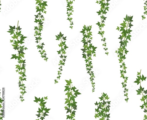 Creeper green ivy. Wall climbing plant hanging from above. Garden decoration ivy vines. Seamless background vector illustration