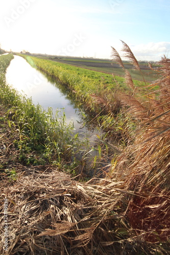 The source of the river Rotte at the Rottedijk in town Moerkapelle in the netherlands, from here the river will go to Rotterdam photo