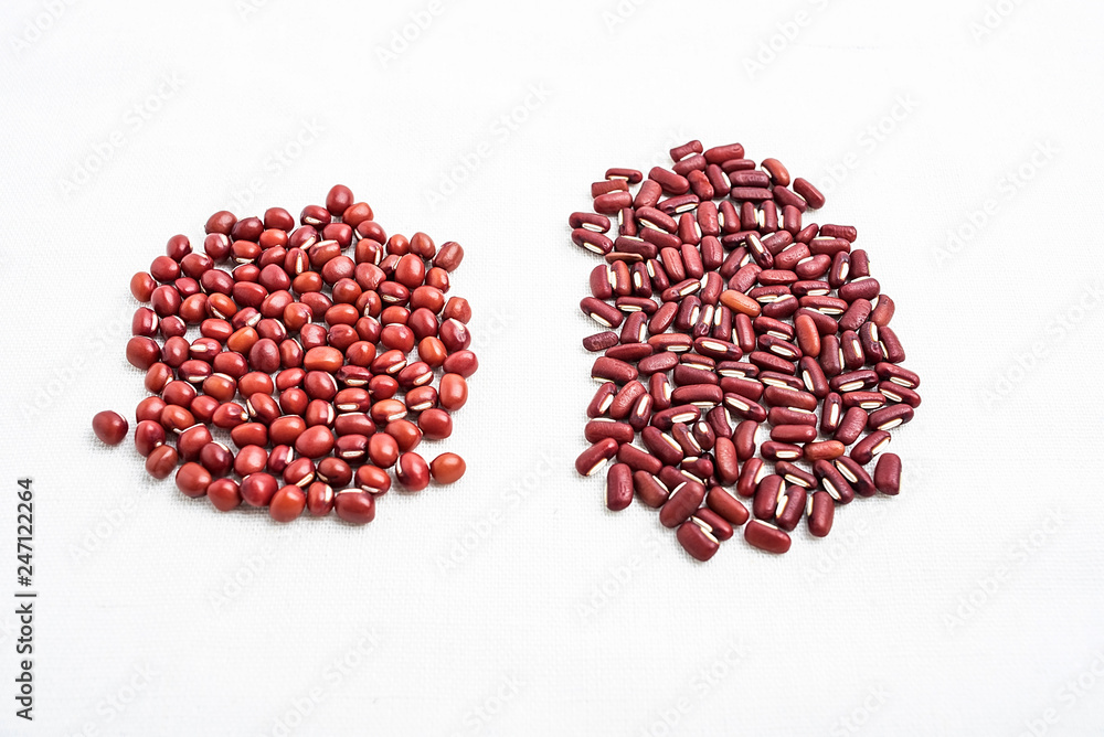 Red bean and red bean contrast chart / round red beans and oval red beans Red bean and red bean contrast chart / round red beans and oval red beans