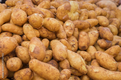 Ratte potatoes heap for sale at organics farmers market