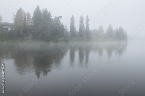 reflection of trees in the pond on a foggy autumn morning