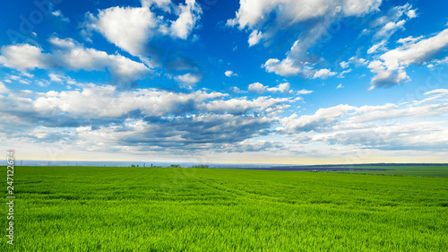 rural landscape, green field grass with a blue sky and clouds