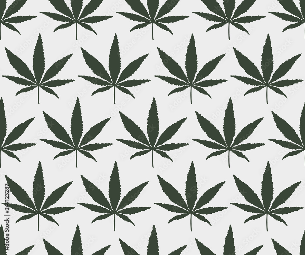 Fototapeta premium Cannabis Leaf Pattern. Endless Vector