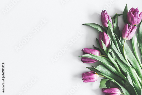 Fototapeta Naklejka Na Ścianę i Meble -  Flowers composition. Purple tulip flowers on pastel gray background. Valentines day, mothers day, womens day concept. Flat lay, top view, copy space