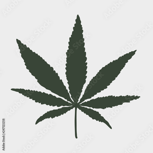 Cannabis Leaf. Vector