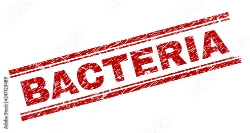BACTERIA seal imprint with corroded texture. Red vector rubber print of BACTERIA title with corroded texture. Text title is placed between double parallel lines.