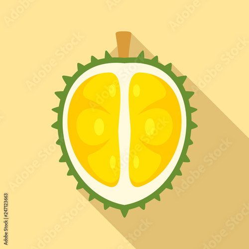 Durian icon. Flat illustration of durian vector icon for web design