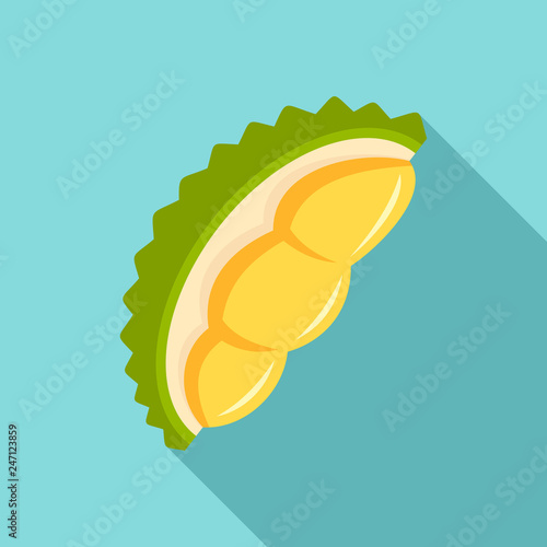 Fresh durian piece icon. Flat illustration of fresh durian piece vector icon for web design