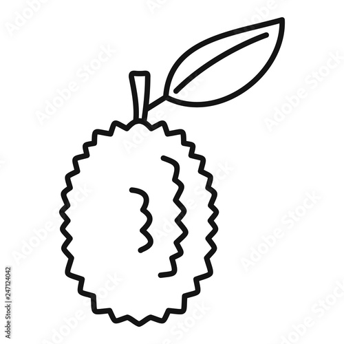 Whole raw durian icon. Outline whole raw durian vector icon for web design isolated on white background