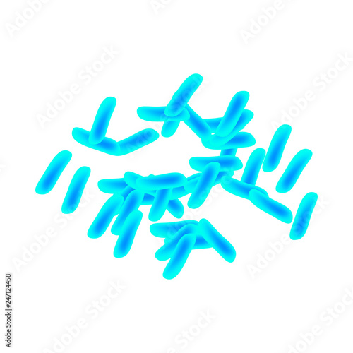 lactobacillus. Probiotic. Lactobacillus plantarum. Infographics. Vector illustration on isolated background.