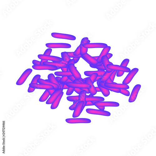 lactobacillus. Probiotic. Lactobacillus casei. Infographics. Vector illustration on isolated background.