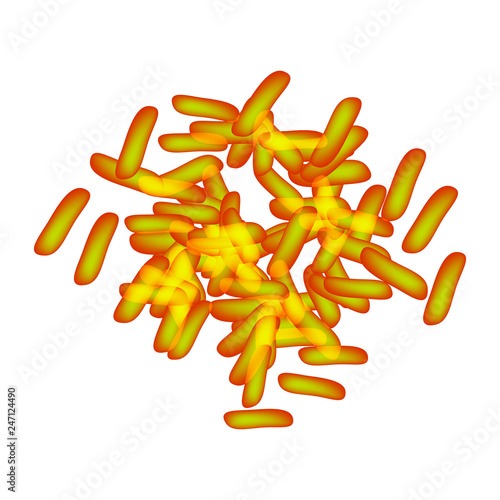 bifidobacteria. Bifidobacterium breve. Probiotic, lactobacillus, bifidobacterium, probiotic, prebiotic. Infographics. Vector illustration on isolated background.
